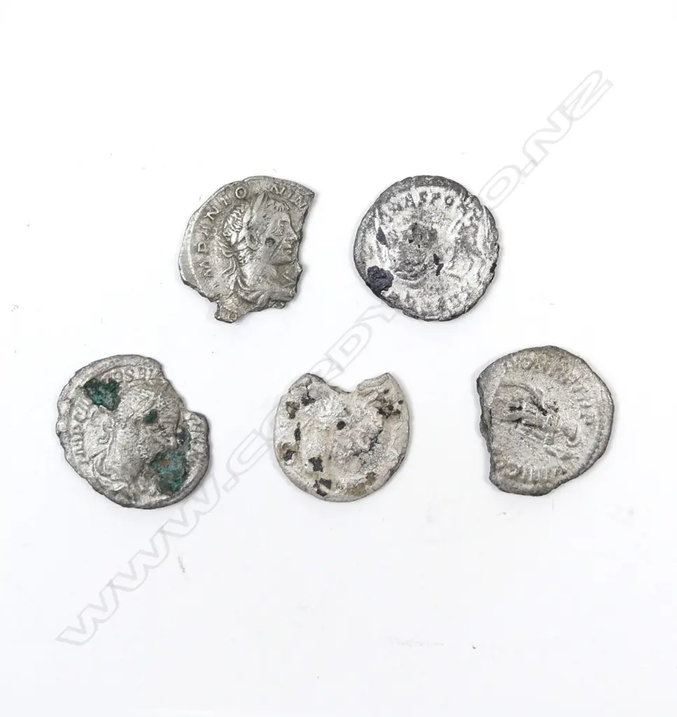 Five coins of the Severan dynasty Image 1++