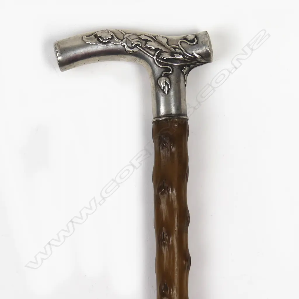 A vintage walking stick Image 1++