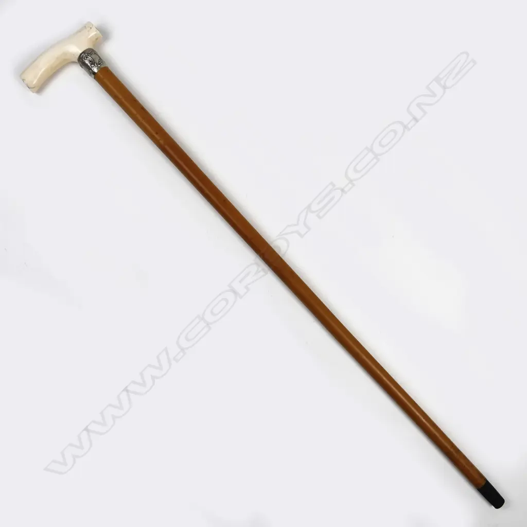 A vintage walking stick Image 1++