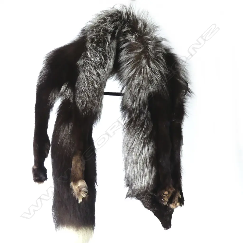 A silver fox collar Image 1++