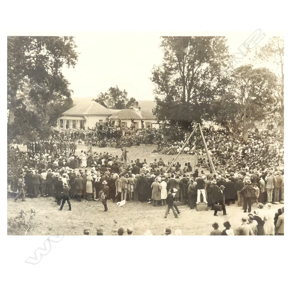 Nine vintage large format 1934 Waitangi Treaty House celebrations photographs Image 1++