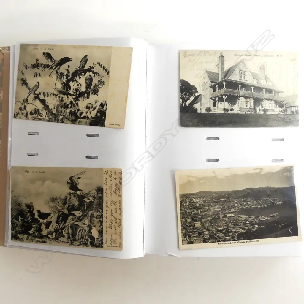 An album of vintage NZ postcards Image 1++