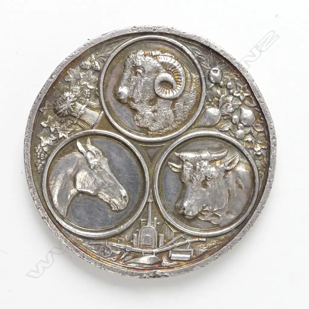 An 1880 Hawke's Bay Agricultural & Pastoral Society 'silver' medal Image 1++