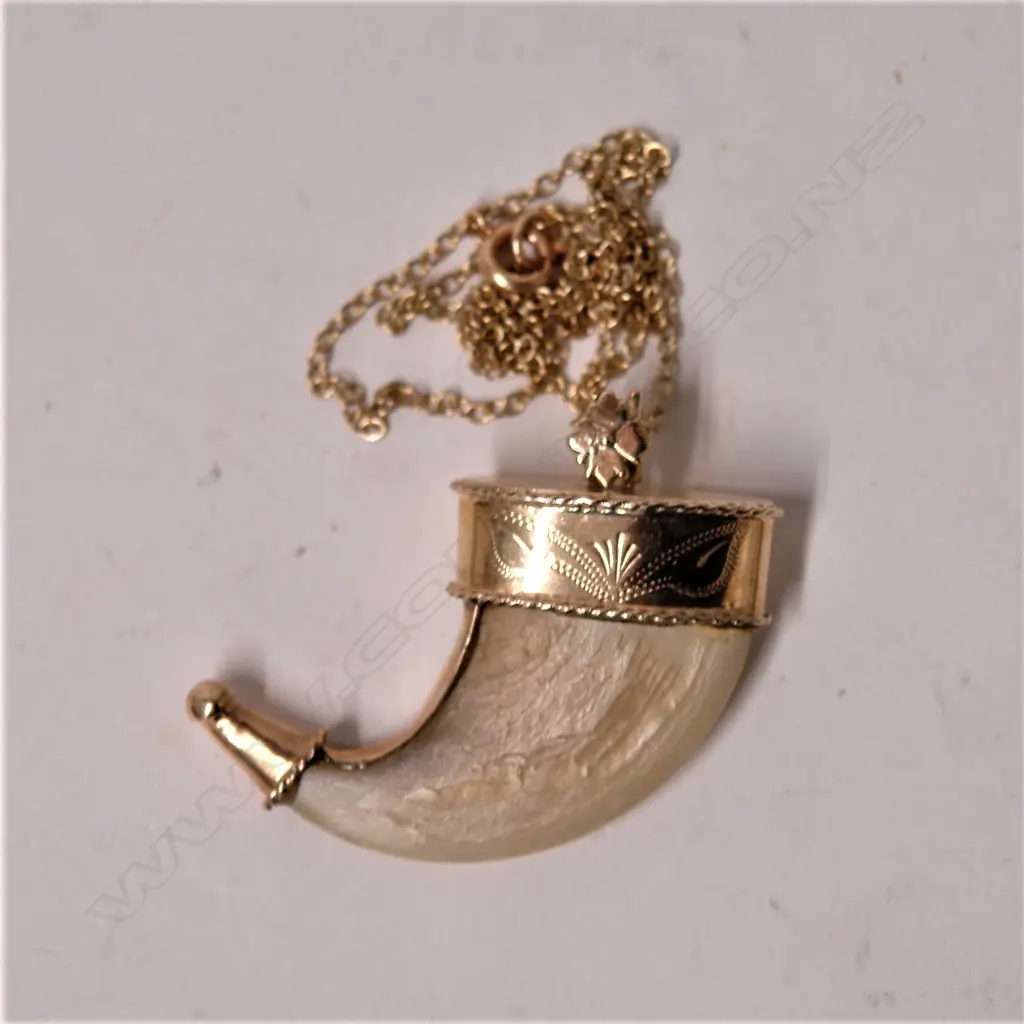 A 19thC 9ct. yellow gold tiger's claw pendant Image 1++