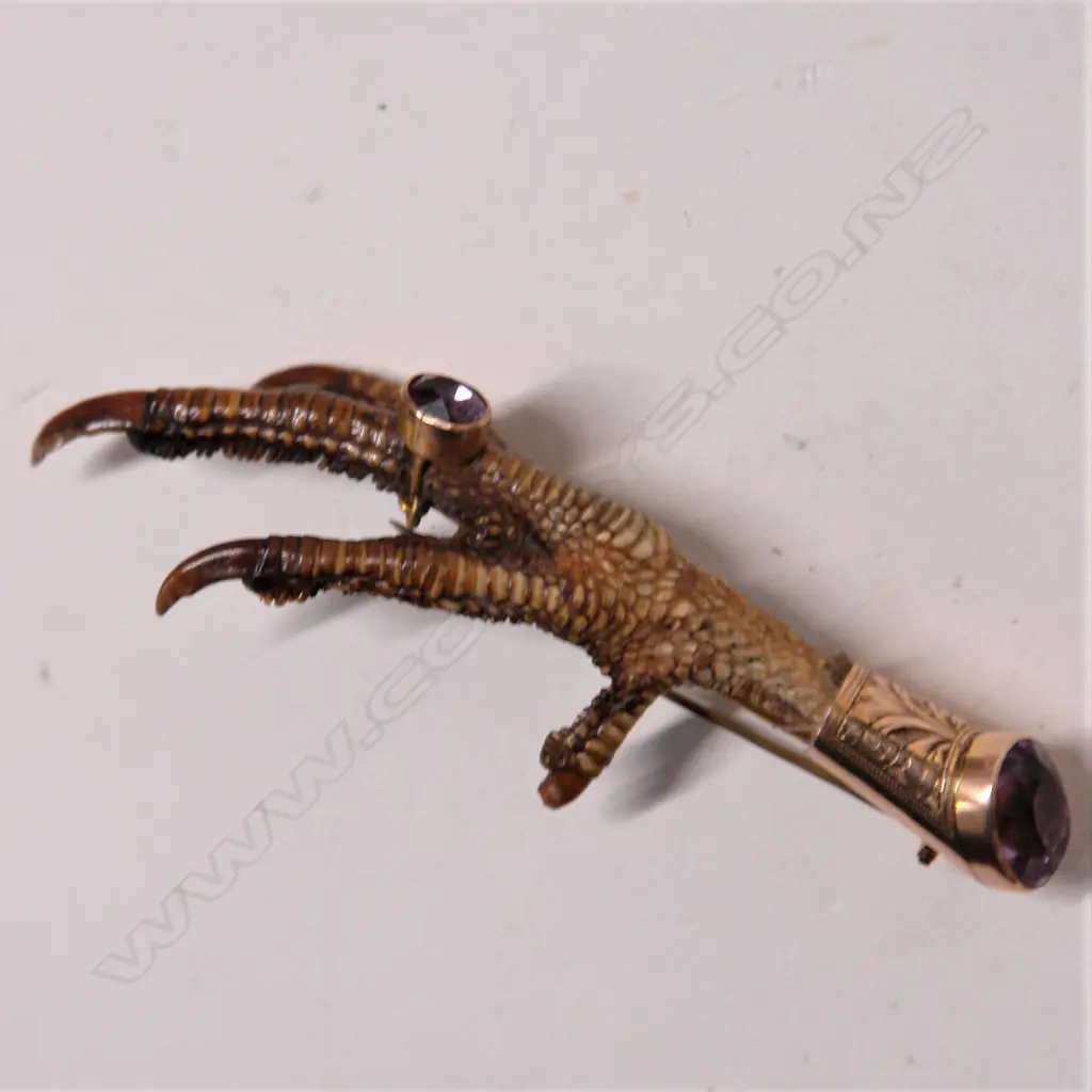 A late 19thC 9ct. yellow gold and amethyst mounted grouse claw brooch Image 1++