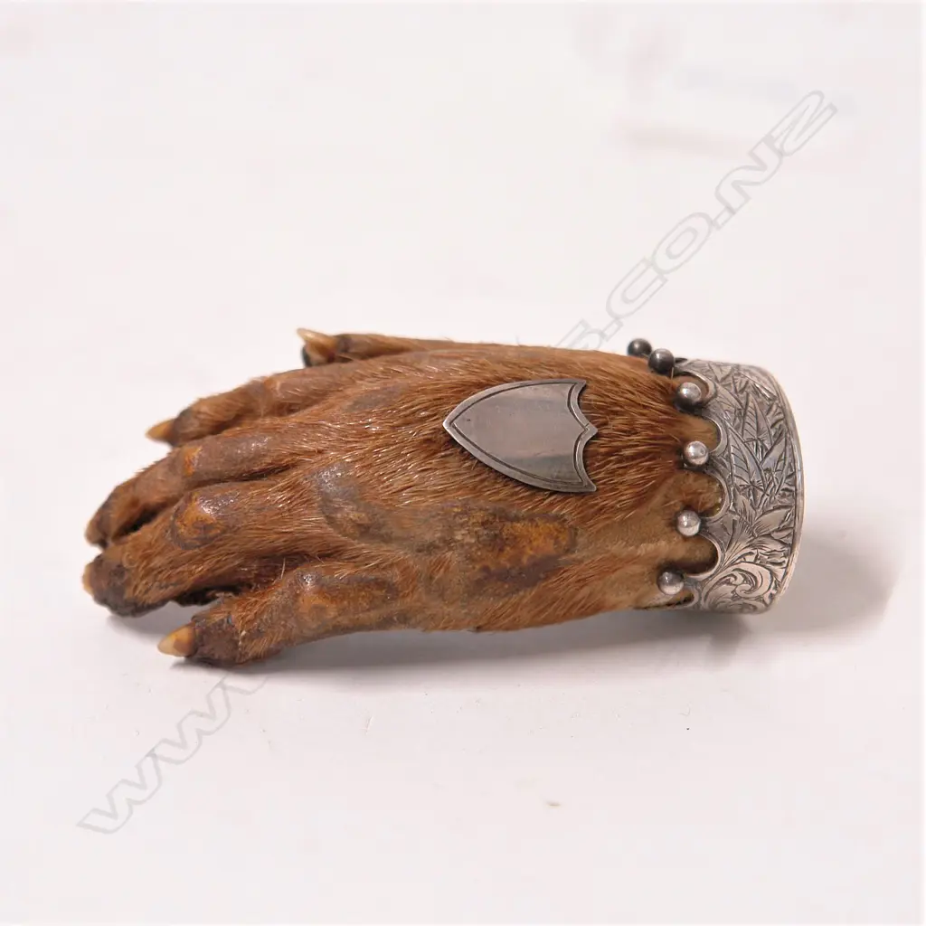 A 19thC silver mounted otter paw brooch Image 1++