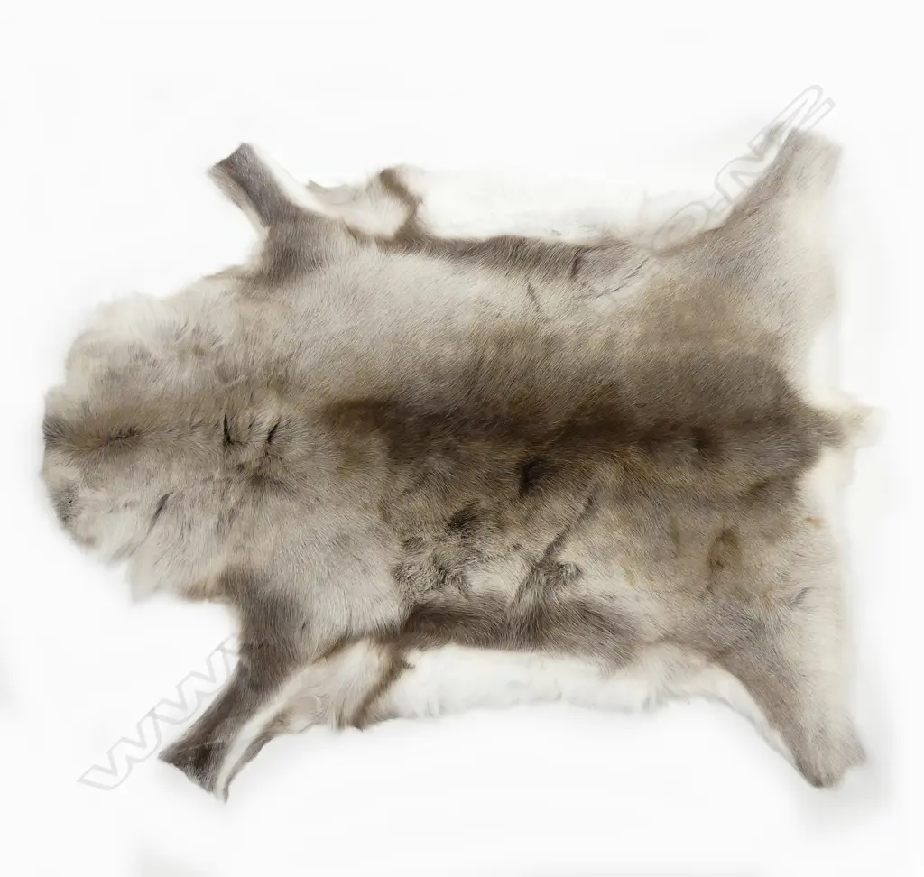 A good quality reindeer skin rug Image 1++