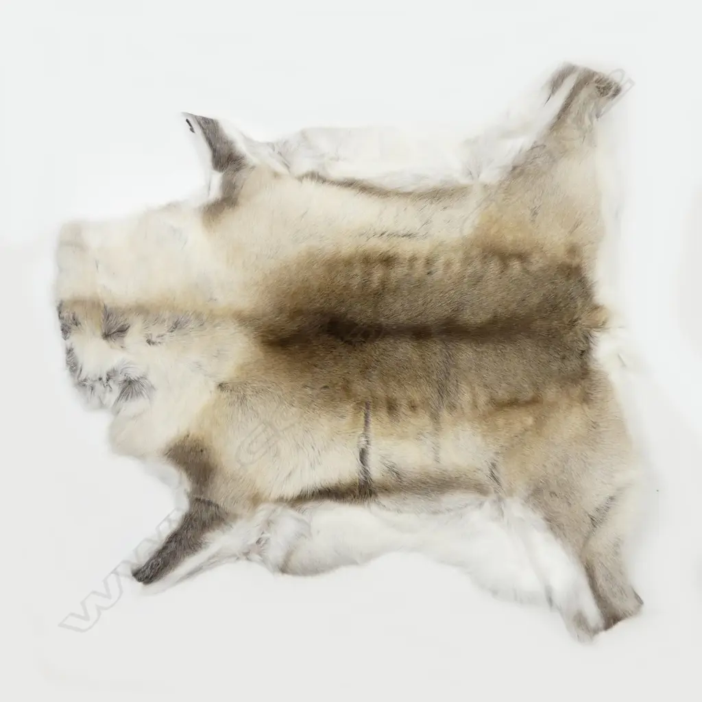 A good quality reindeer skin rug Image 1++