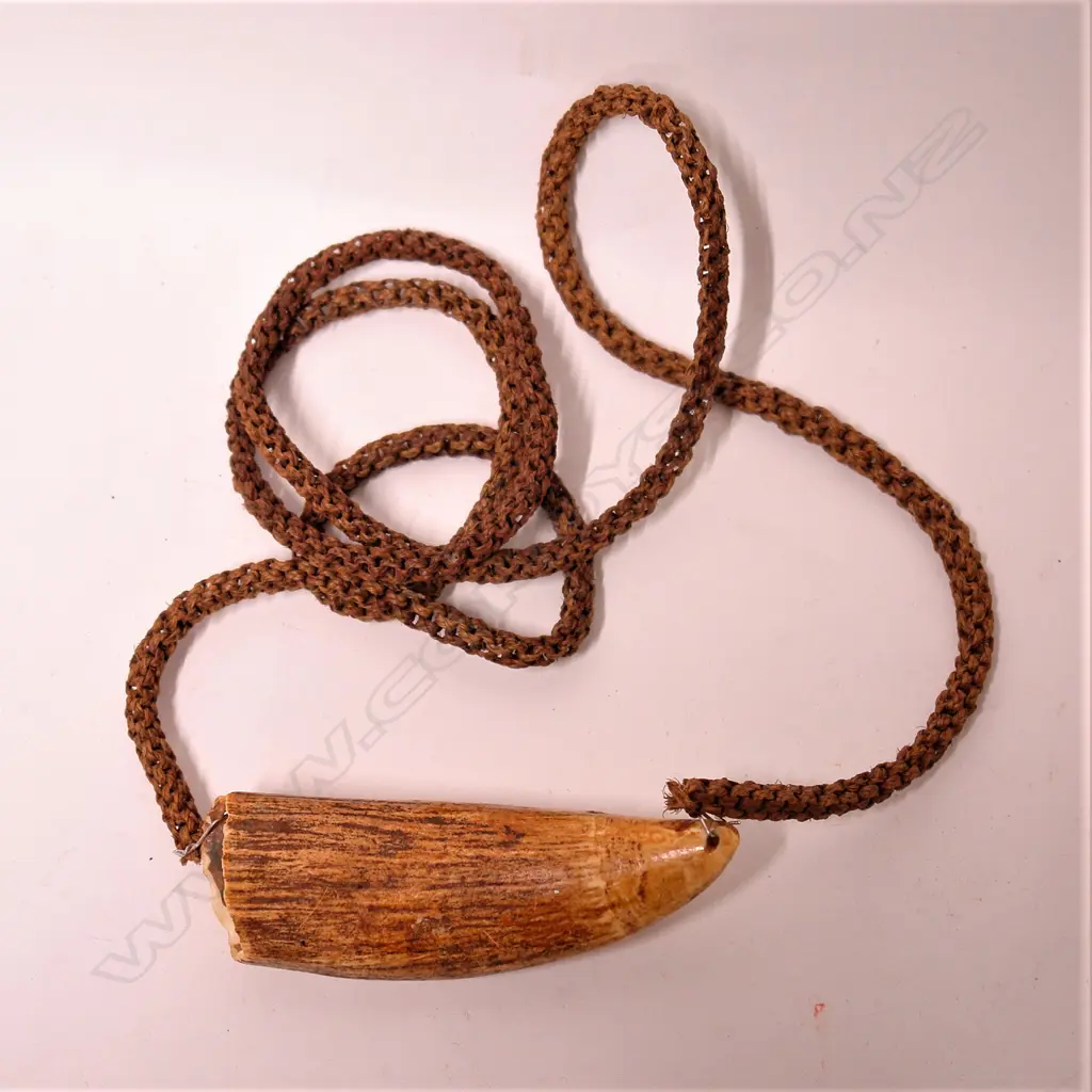 A 19thC Fijian tabua necklace Image 1++