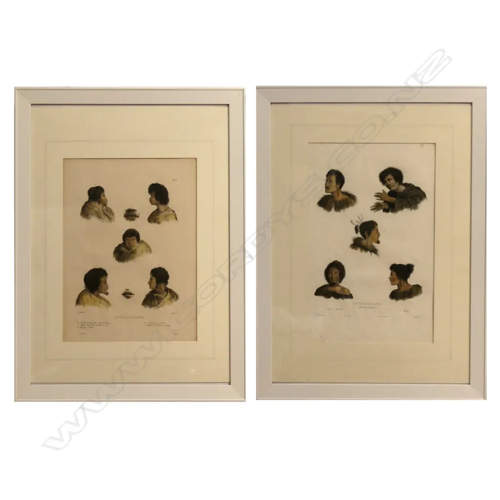 Two hand coloured lithographs from the Voyage de L'Astrolabe Image 1++