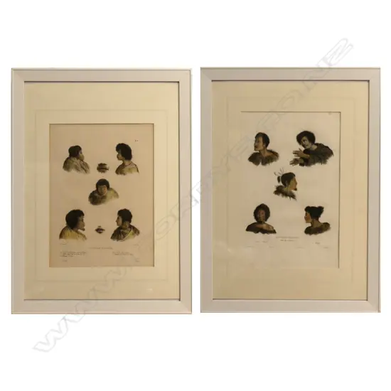 Two hand coloured lithographs from the Voyage de L'Astrolabe