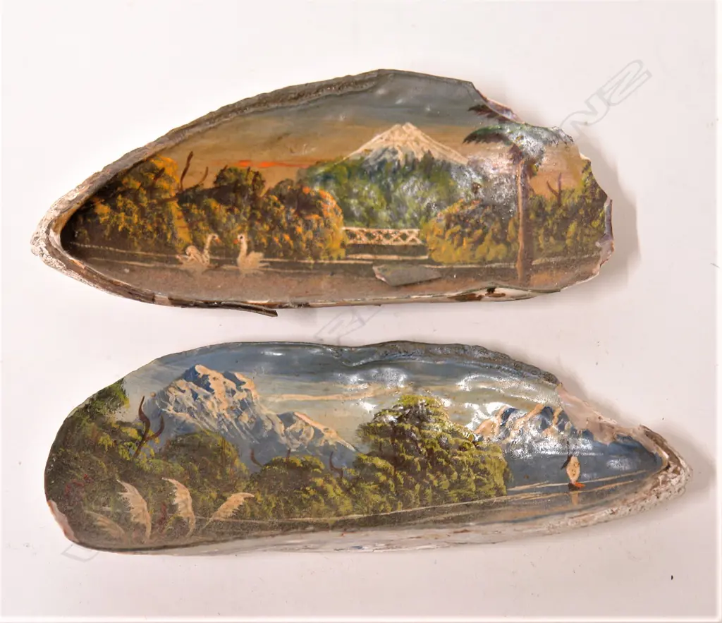 A pair of early 20thC N.Z. colonial landscape painted large mussel shells Image 1++