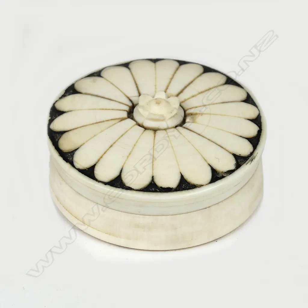 A small ivory pill box Image 1++