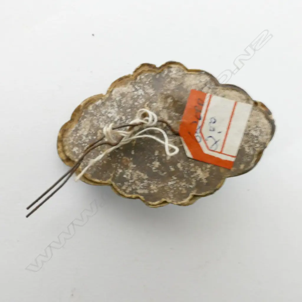 Six 19thC Chinese Kingfisher jewellery items Image 1++