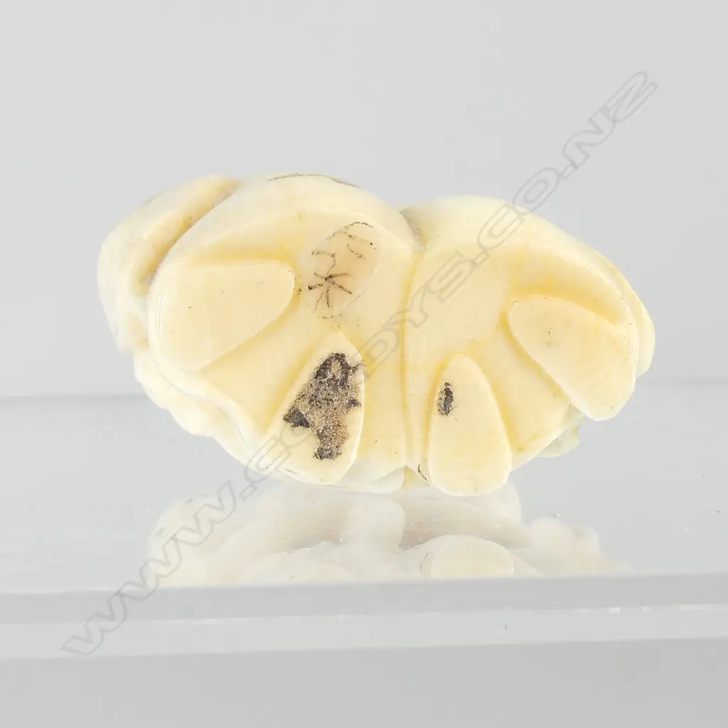 A Japanese ivory netsuke Image 1++