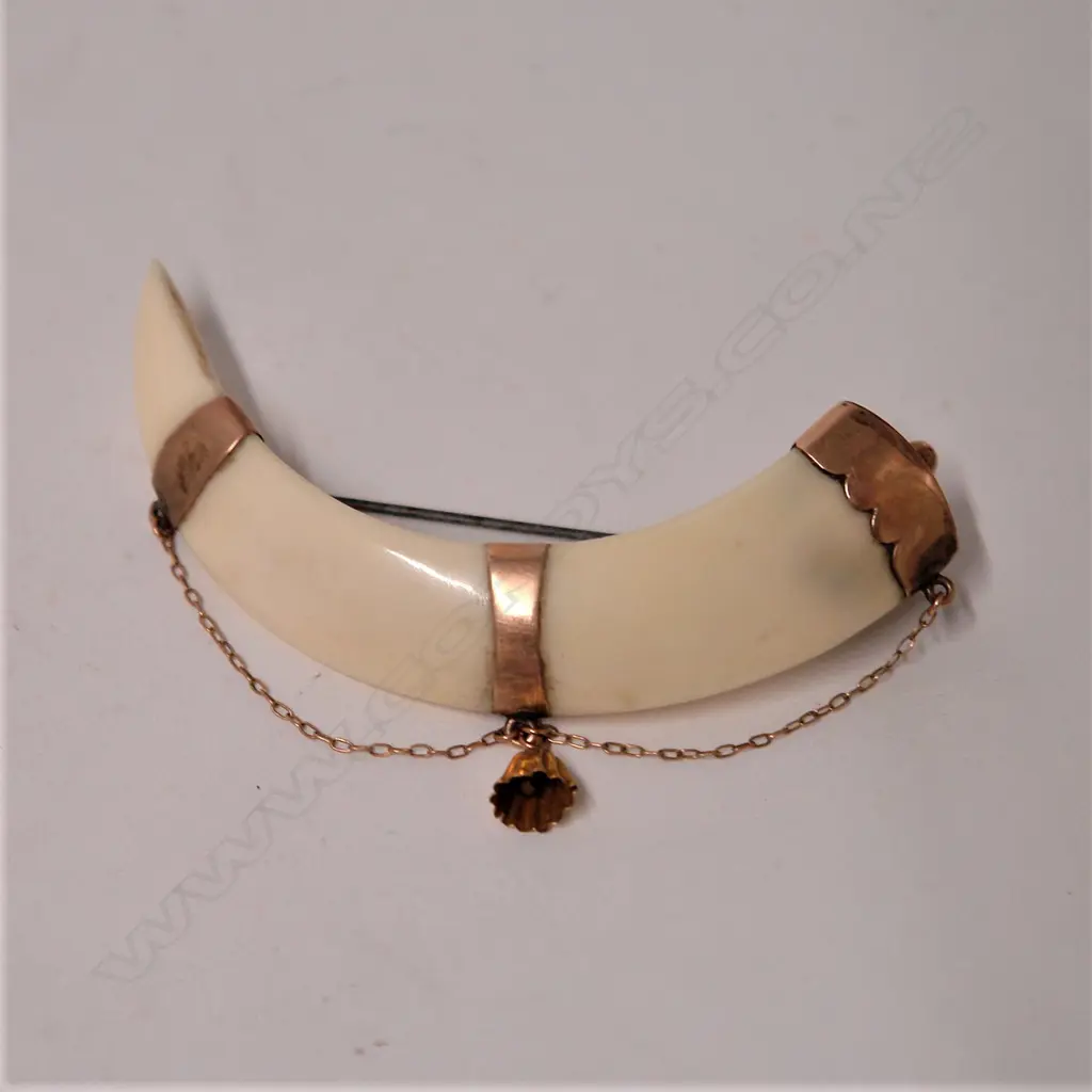 An Adolph Kohn 9ct. rose gold mounted boar's tusk brooch Image 1++