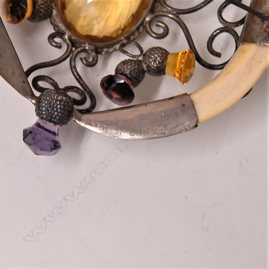 An impressive early 1900s Scottish silver and boar's tusk brooch Image 1++