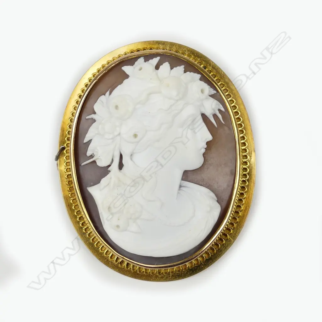 A 19thC finely carved portrait cameo brooch in gilded gold frame Image 1++