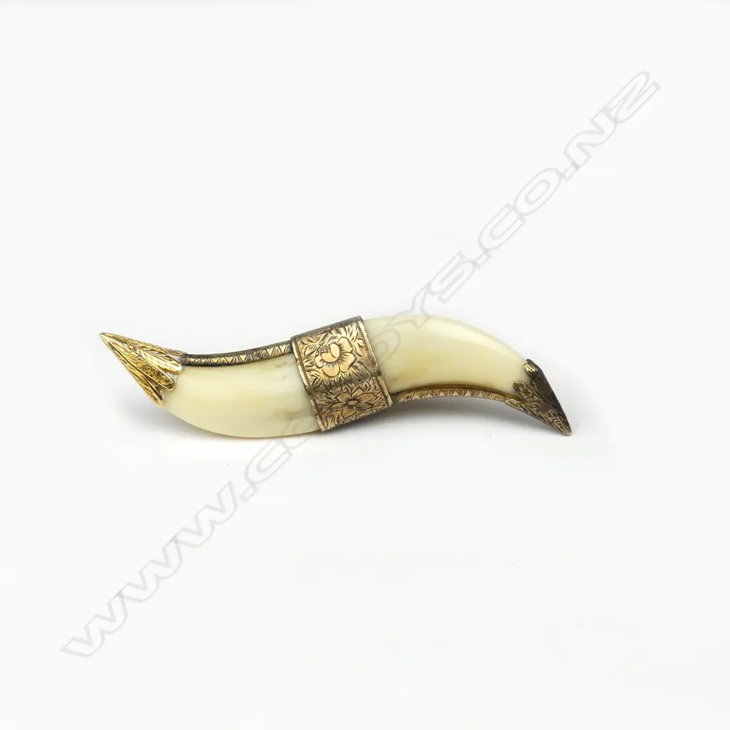 A vintage 9ct. gold mounted double big cat's tooth brooch Image 1++