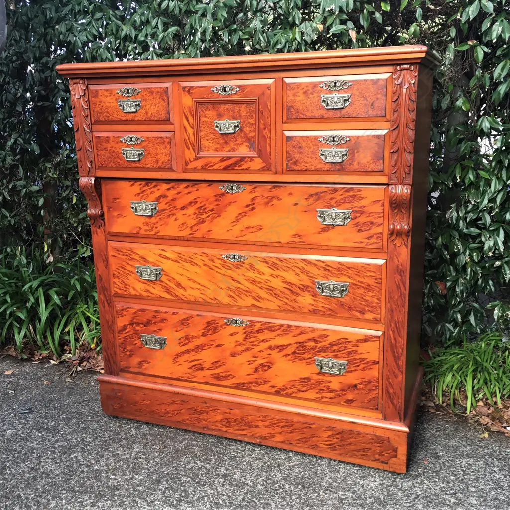 A good N.Z. colonial burr kauri scotch chest Image 1++