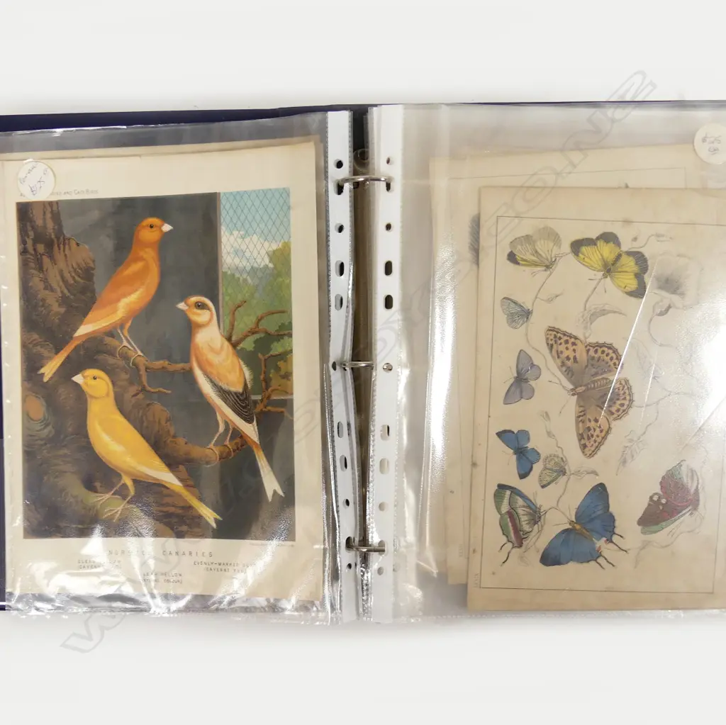 A folio of loose engravings and chromolithographs Image 1++