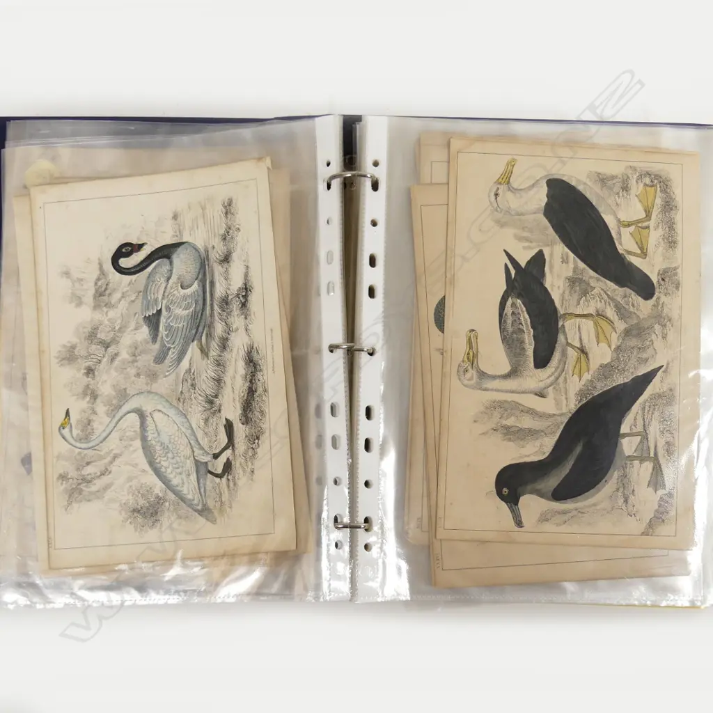 A folio of loose engravings and chromolithographs Image 1++