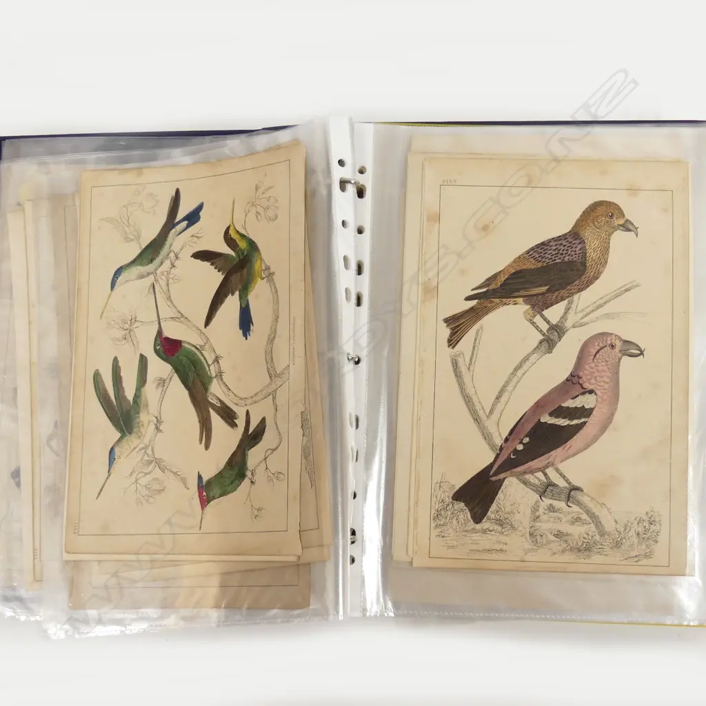 A folio of loose engravings and chromolithographs Image 1++