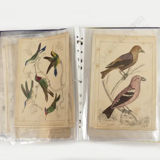 A folio of loose engravings and chromolithographs