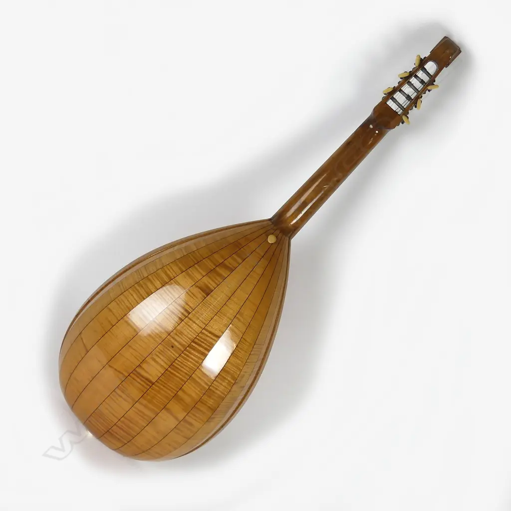 A 1970s Hofner lute-guitar Image 1++