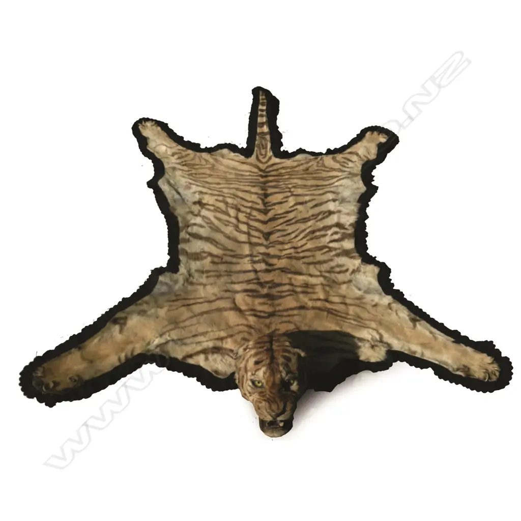A tiger skin rug with full head mount Image 1++