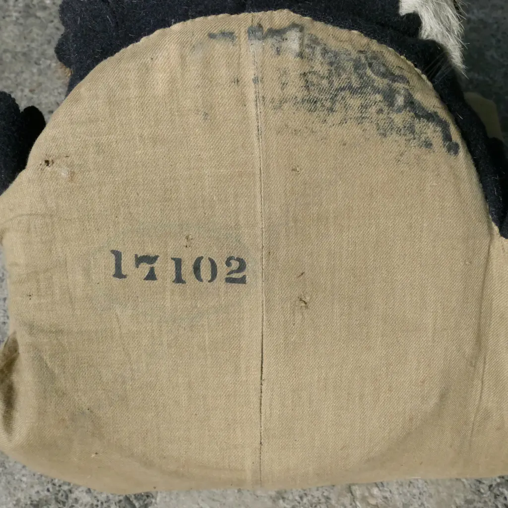 A tiger skin rug with full head mount Image 1++