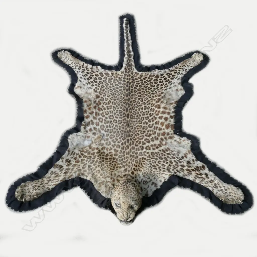 A leopard skin rug with full head mount Image 1++