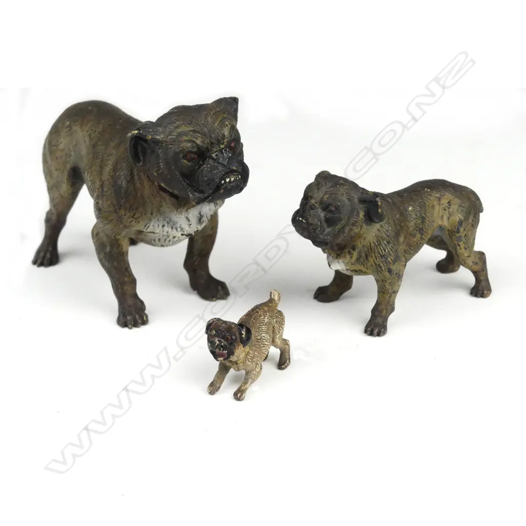 Three miniature cold painted Vienna bronze bulldogs Image 1++