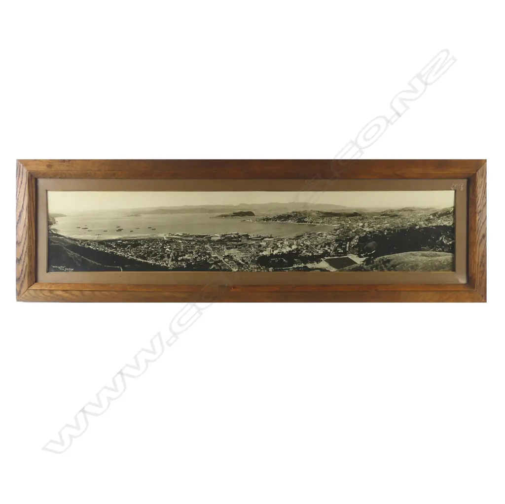 A panoramic photo of Wellington Image 1++