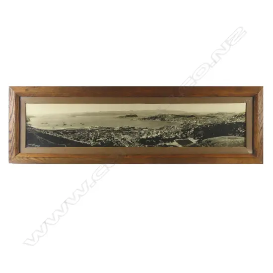 A panoramic photo of Wellington