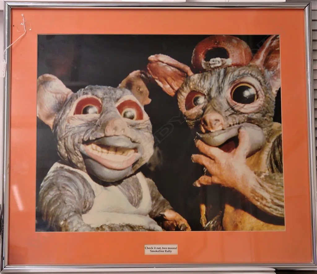A photographic still from the 1997 ‘Smokefree Rally N.Z.’ video advertising campaign Image 1++