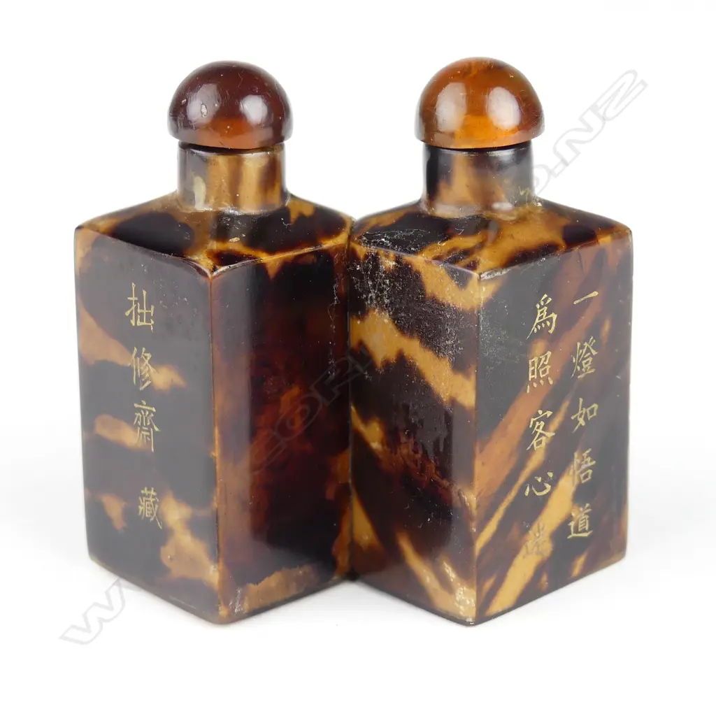 A Chinese tortoiseshell twin snuff bottle Image 1++