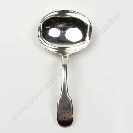 A Geo. IV silver caddy spoon