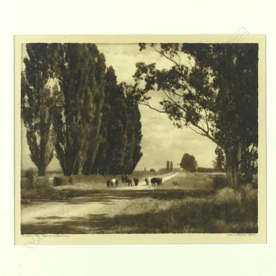 George Chance