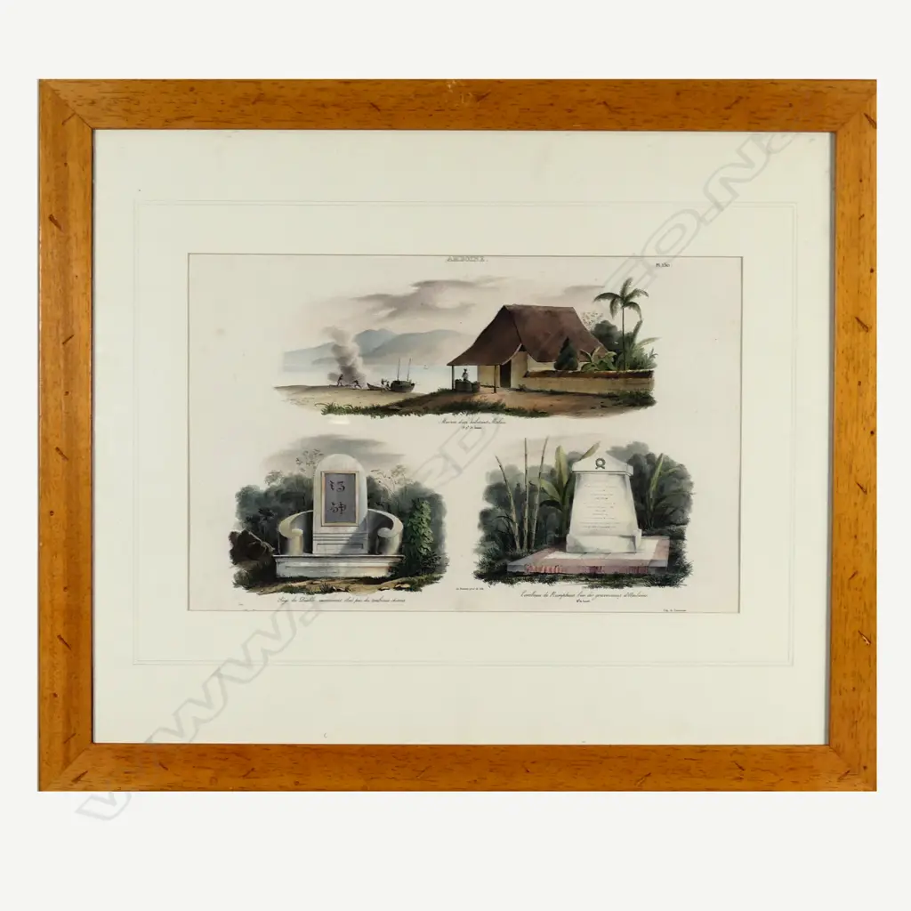 Hand coloured lithograph from the Voyage de l'Astrolabe Image 1++