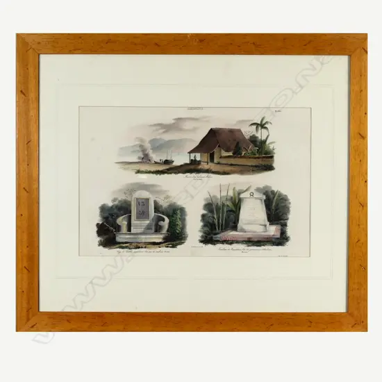 Hand coloured lithograph from the Voyage de l'Astrolabe