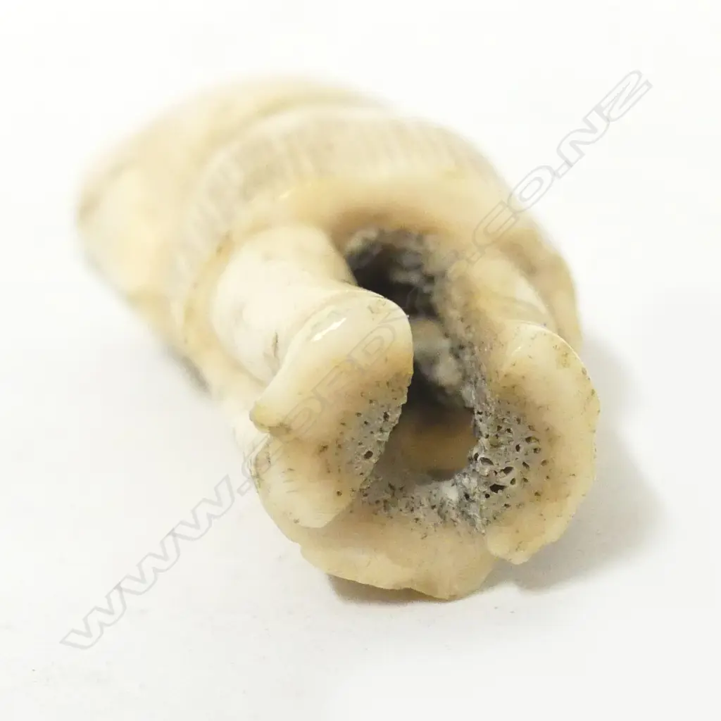 An old deer antler figure Image 1++