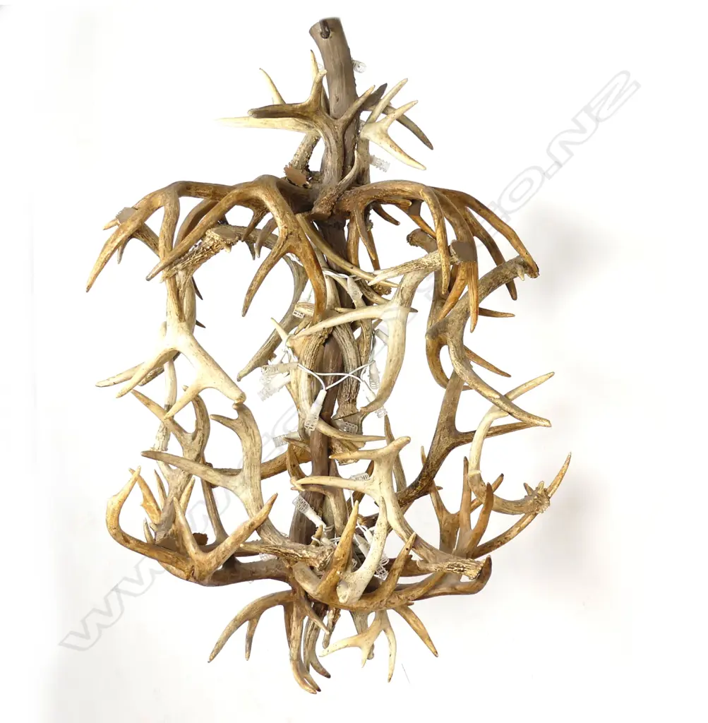 A large deer antler chandelier Image 1++