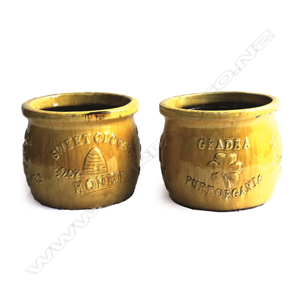 A pair of large caramel glazed 'Sweet Clover Honey' garden pots Image 1++