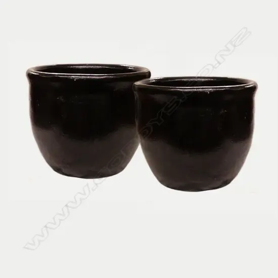 A pair of large ovoid garden planters