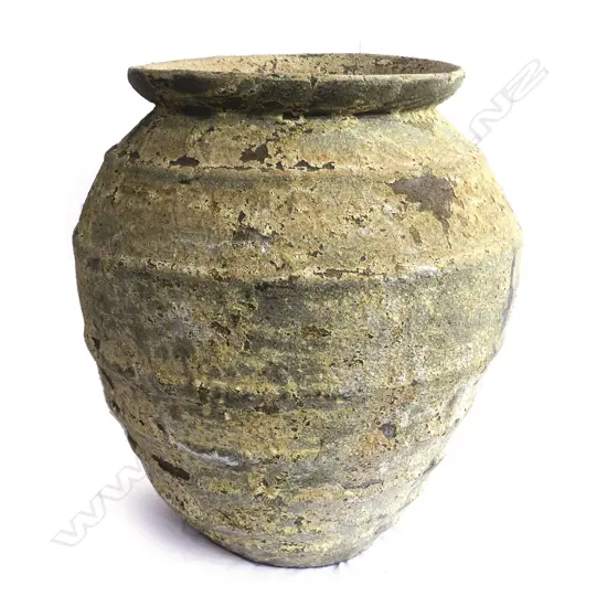 A large 'Atlantis' ovoid garden pot