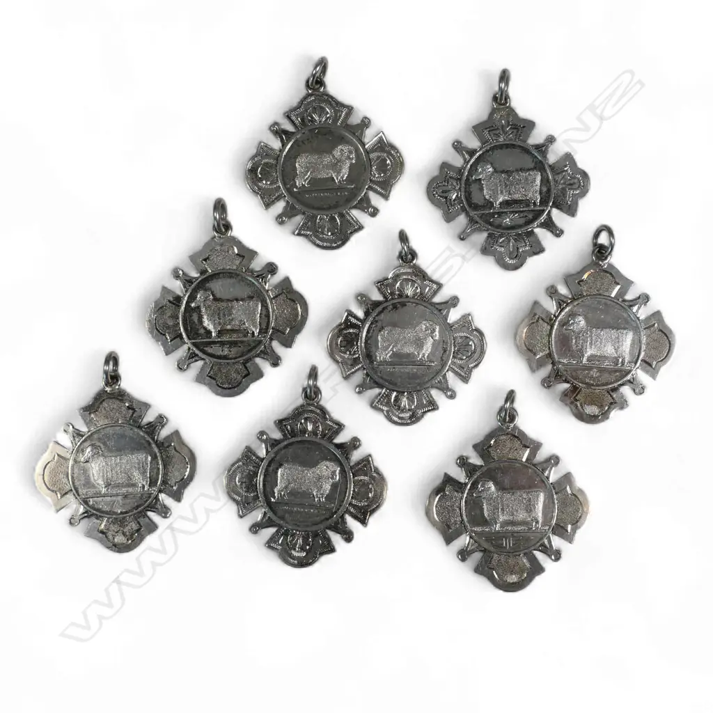 Eight 19thC Wairarapa Pastoral & Agricultural Society silver medals, Image 1++