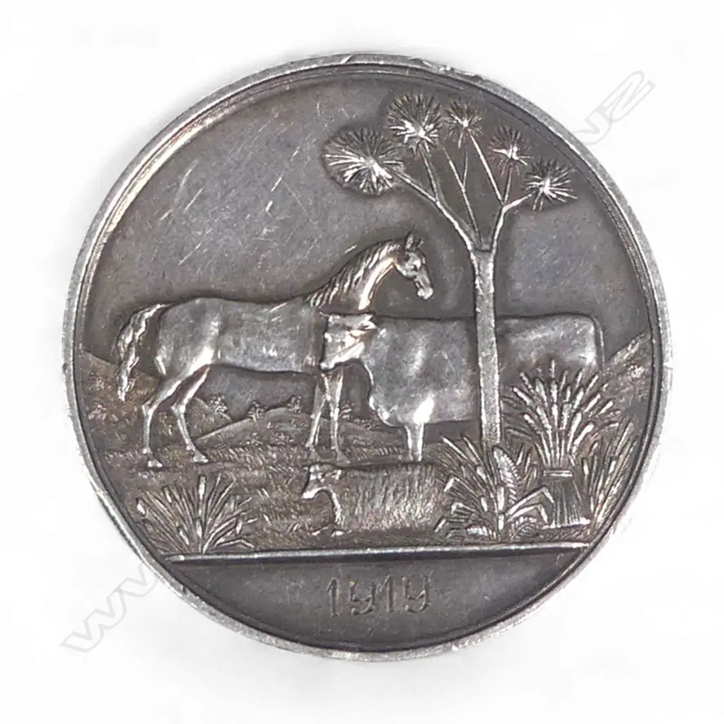 An Anton Teutenberg 1919 'Wanganui Agricultural Association Incorporated' Silver Medal, Image 1++