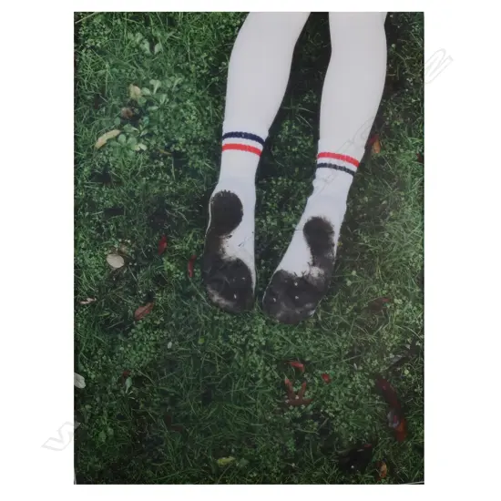 Harvey Benge (NZ 1944 - 2019) 'The Garden - Part 2',