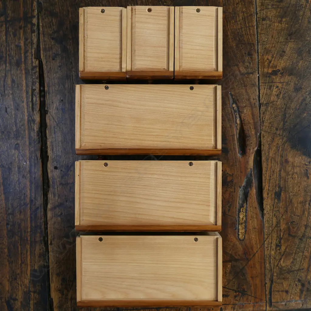 A quality craftsman made New Zealand woods apprentice type chest by Nick Johns (Auckland), Image 1++